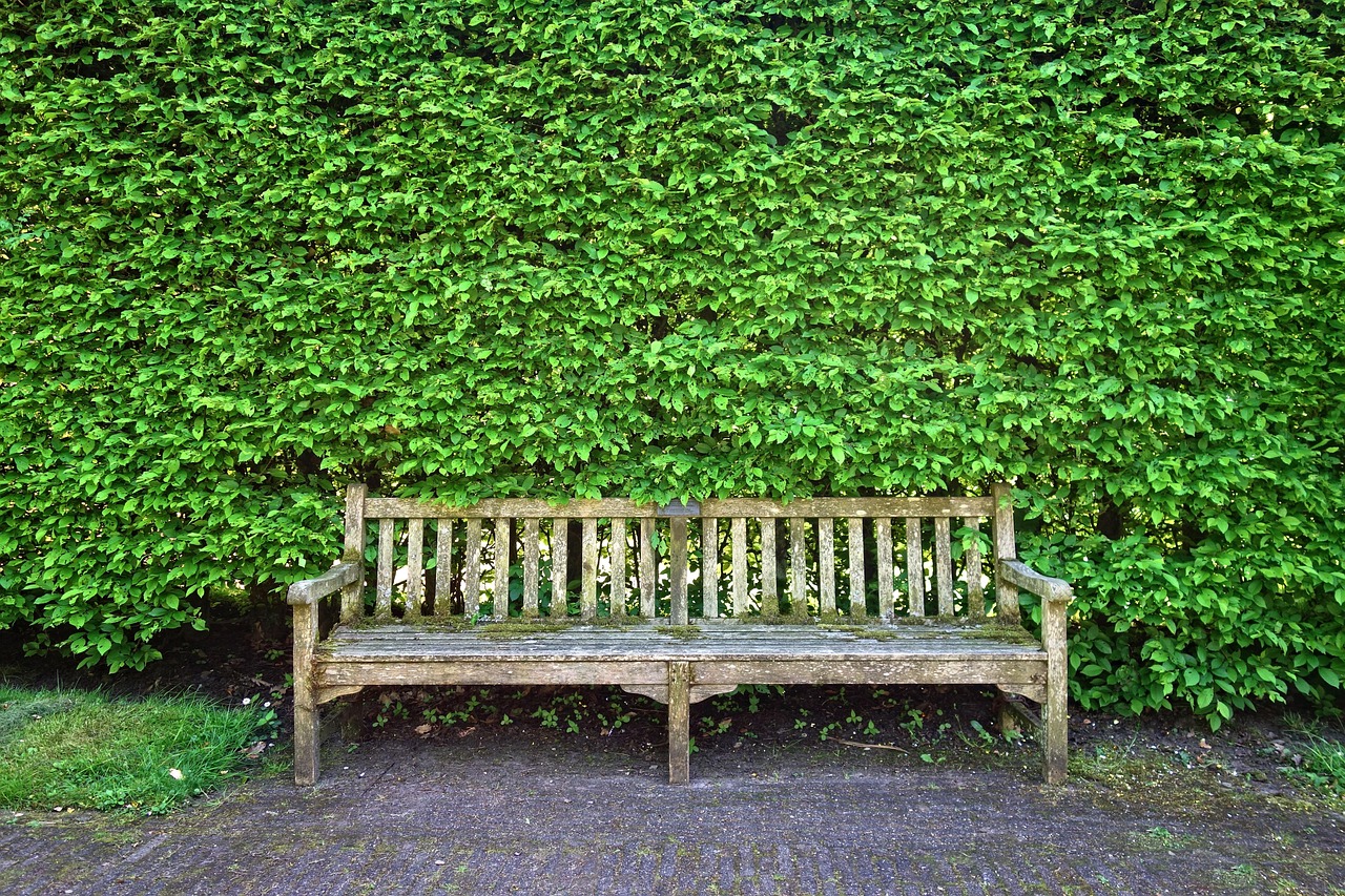 Felle, kleurrijke kussens op houten tuinbank. Felle, kleurrijke kussens op houten tuinbank.