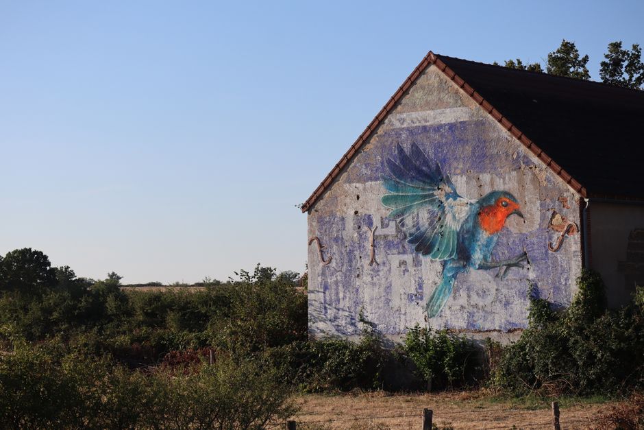 Sfeervol boslandschap fotobehang voor serene uitstraling.