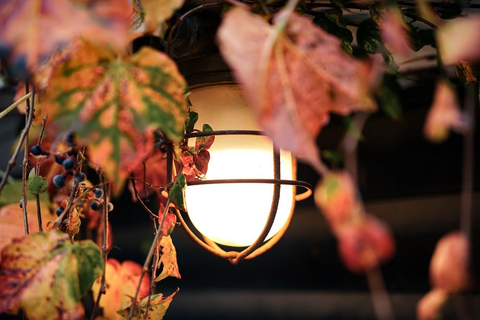 Sfeervolle herfstlampionnen in oranje- en bruintinten. Sfeervolle herfstlampionnen in oranje- en bruintinten.