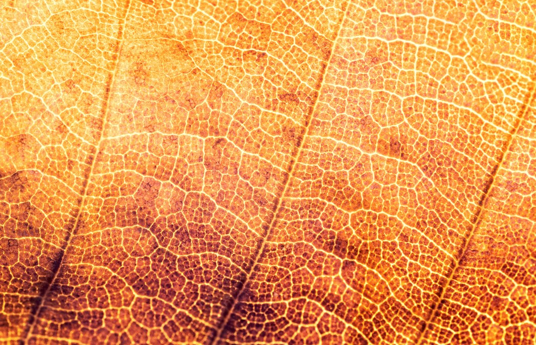 Oranje en bruine herfstige sfeerverlichting boven tafel. Oranje en bruine herfstige sfeerverlichting boven tafel.