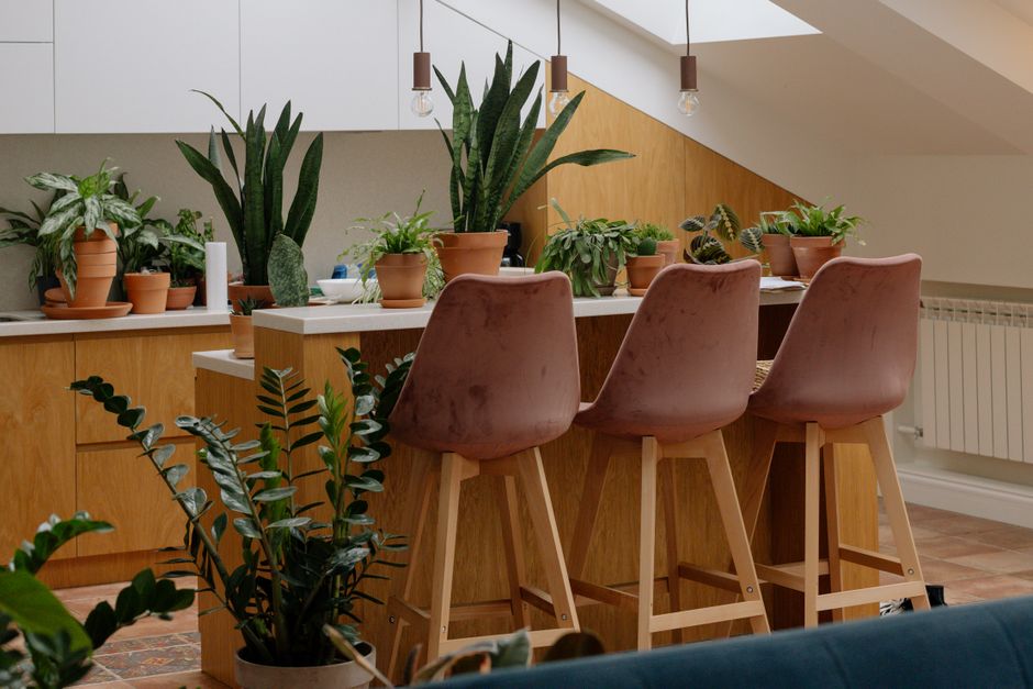 Volle kamerplant in herfstig ingerichte woonkamer. Volle kamerplant in herfstig ingerichte woonkamer.