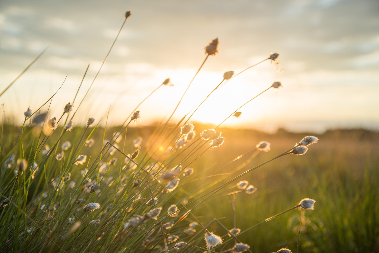 Stringlights verlichten regenachtige tuin in herfststijl.